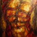 Torso80x60A_001.jpg