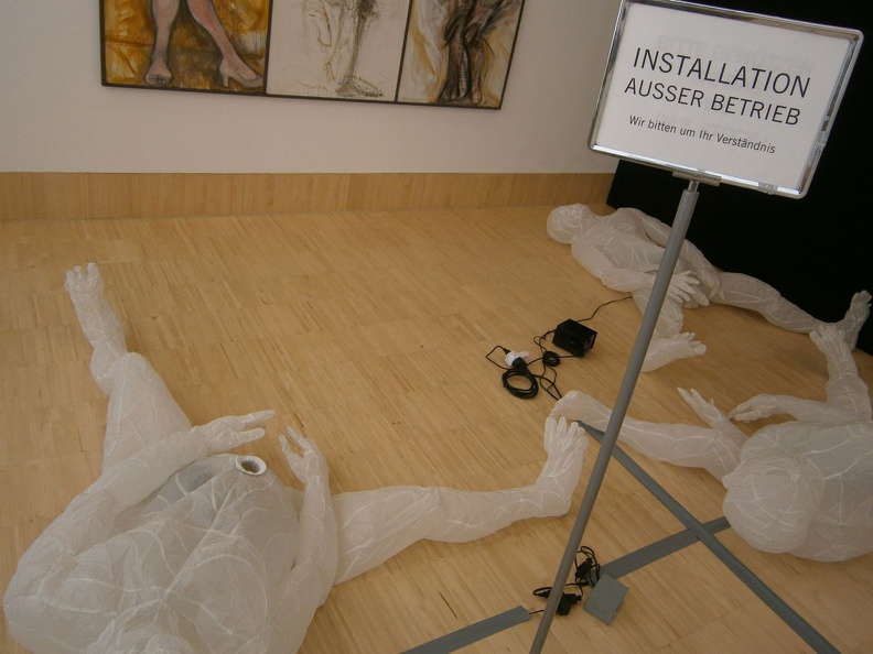 Esslmuseum Installation.jpg