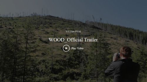 Wood Trailer